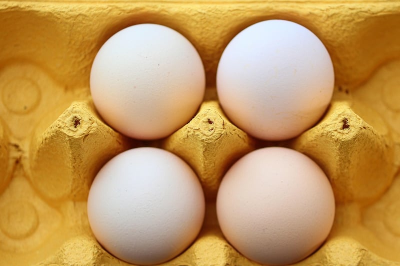 Egg Carton Animals